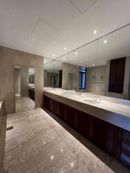 The Colonnade (D10), Condominium #478205801